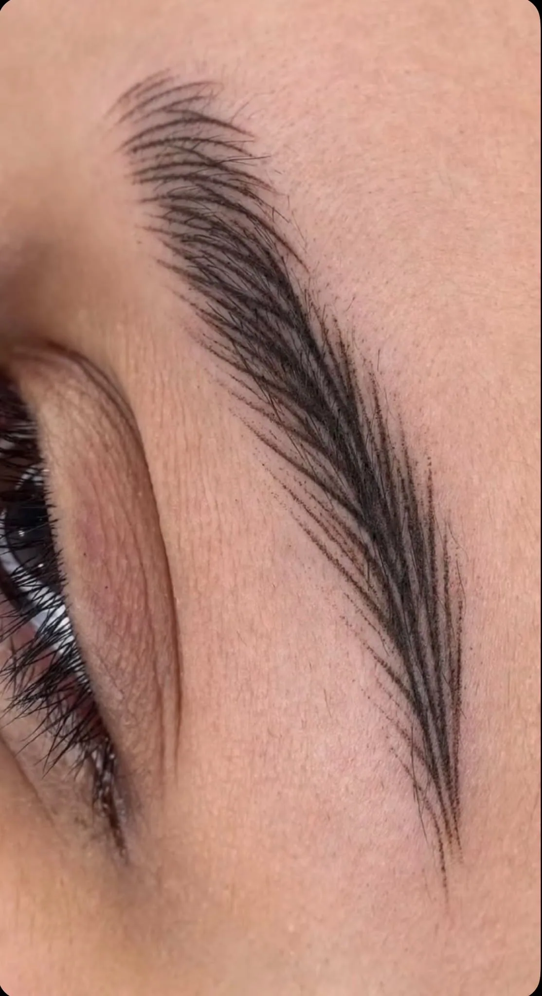 Micropigmentación de cejas